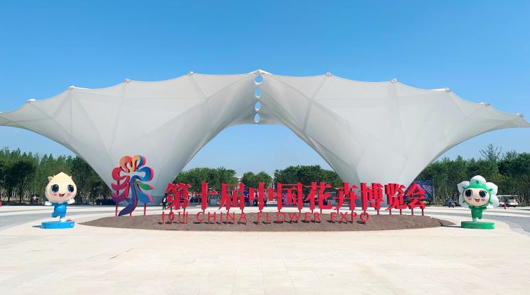 �����й��� ��ս����������������ͨ | ����18������������18��ͨ��˾������ʮ���й�����չ����